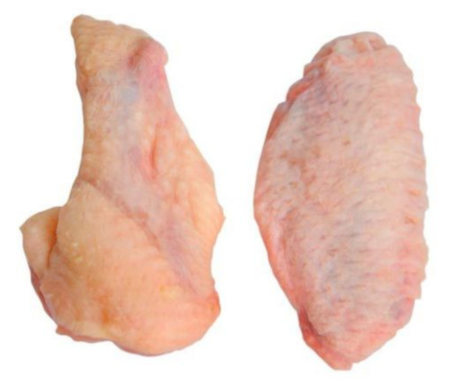 ALITAS DE POLLO SIN PUNTA